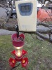 Once I set it on a cold branch, it started to cool right away